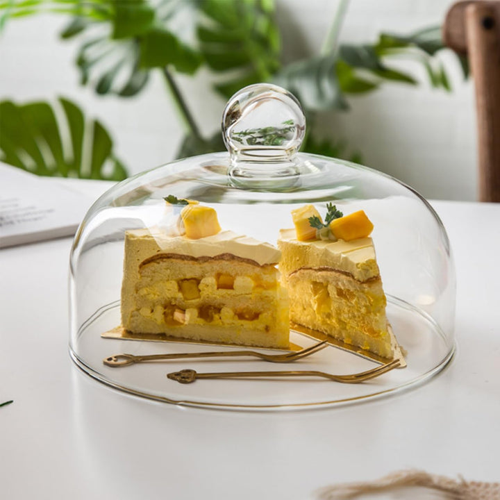 Kuchen Glasglocke Glas Käseglocke Kuchenglocke Tortenplatte Haube Glaskuppel Torten Glashaube Käsepl