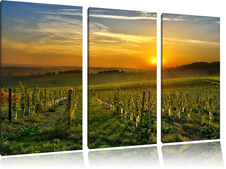 Pixxprint Weinberg in Bergerac Frankreich als Leinwandbild | Grösse: 3 Teilig (120x80) | Wandbild| K
