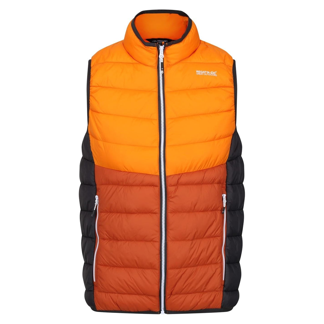 REGATTA GREAT OUTDOORS Harrock B/W II NewRoyal/Nvy L OraPep/BrnCo, L OraPep/BrnCo