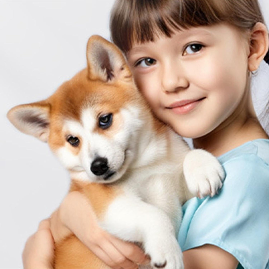 PIPI-Pads für Hunde, waschbare PIPI-Pads - Wiederverwendbare waschbare Pee-Matte, wasserdichte Pee-P