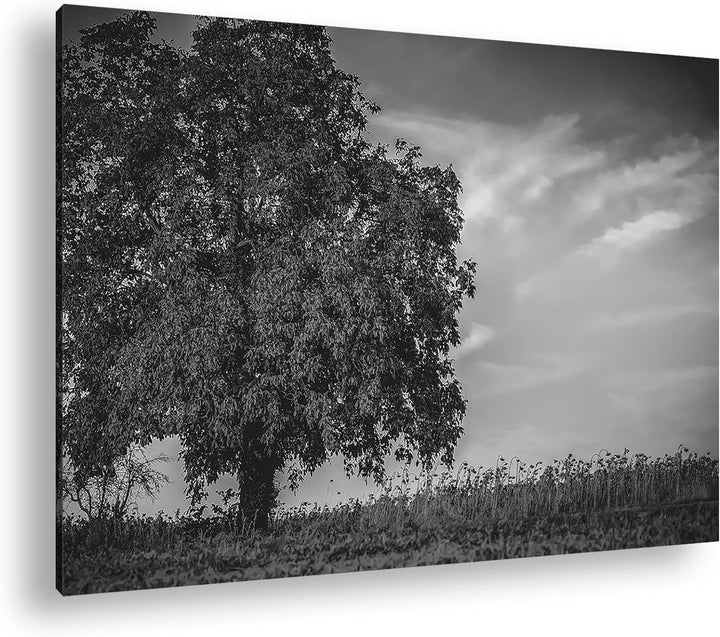 deyoli Herbstliche Landschaft Format: 80x60 als Leinwand, Effekt: Schwarz&Weiss, Motiv fertig gerahm