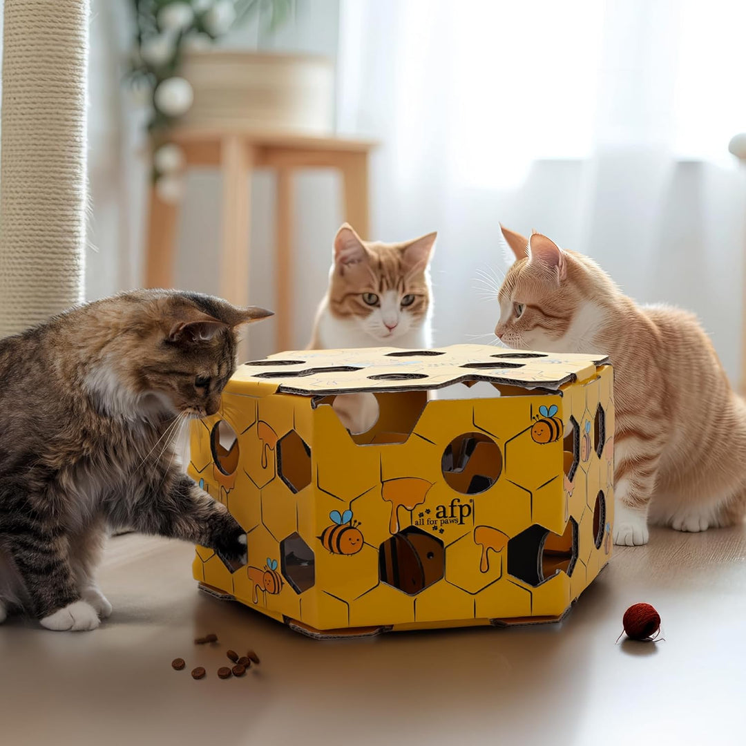 ALL FOR PAWS Katzen-Futter-Spielzeug, Interaktive Leckerli-Spielbox für Katzen, Futterlabyrinth-Box