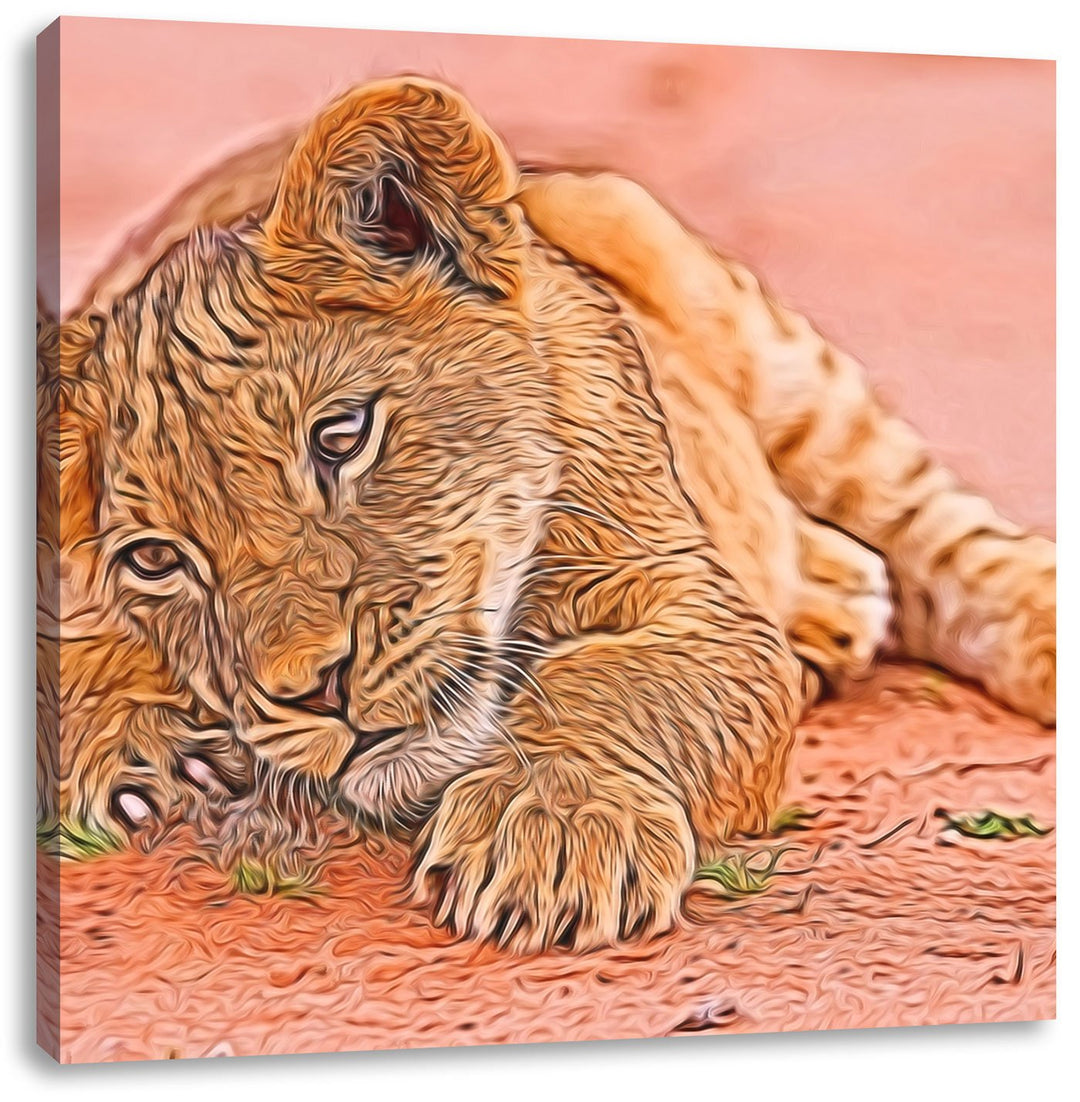 süsses Löwenbaby spielt, Format: 70x70 auf Leinwand, XXL riesige Bilder fertig gerahmt mit Keilrahme