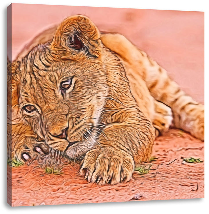 süsses Löwenbaby spielt, Format: 70x70 auf Leinwand, XXL riesige Bilder fertig gerahmt mit Keilrahme