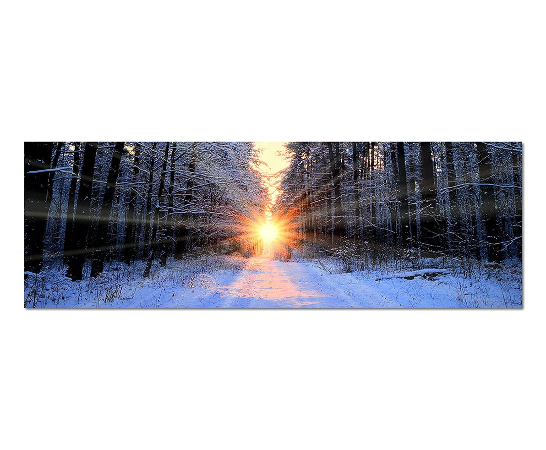 Paul Sinus Art Panoramabild auf Leinwand und Keilrahmen 150x50cm Wald Bäume Winter Schnee Sonnenaufg