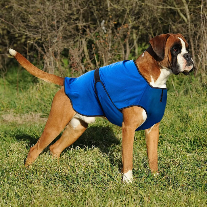 Hundemantel, Warnweste Hund & Hundekühlwesten – Leichte Jacke für Kleine Hunde, Reissverschluss, Für