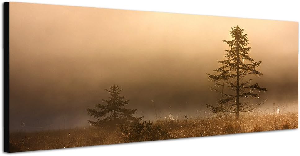 Paul Sinus Art Panoramabild auf Leinwand und Keilrahmen 150x50cm See Wiese Baum Nebel Dunst Morgengr