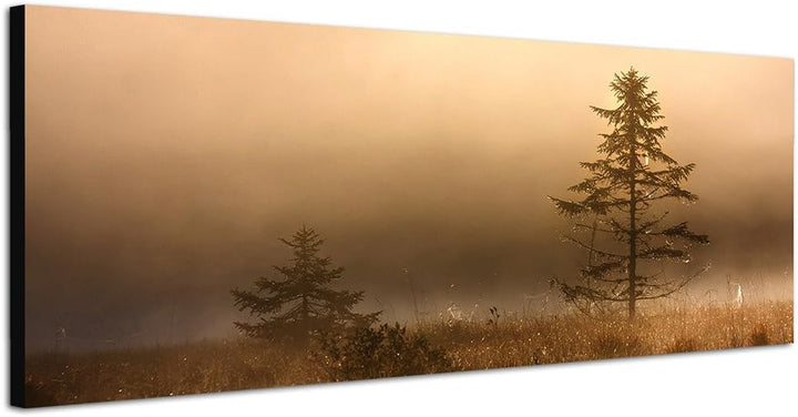 Paul Sinus Art Panoramabild auf Leinwand und Keilrahmen 150x50cm See Wiese Baum Nebel Dunst Morgengr