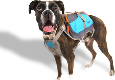 Cesar Millan Hunde-Rucksack, Grösse M, M