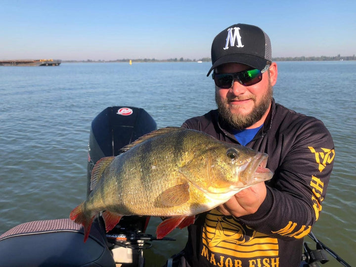 Major Fish Zander Tactical Box 36- teilig Gummifische mit Jigköpfe Wobbler + Raubfisch Zubehör