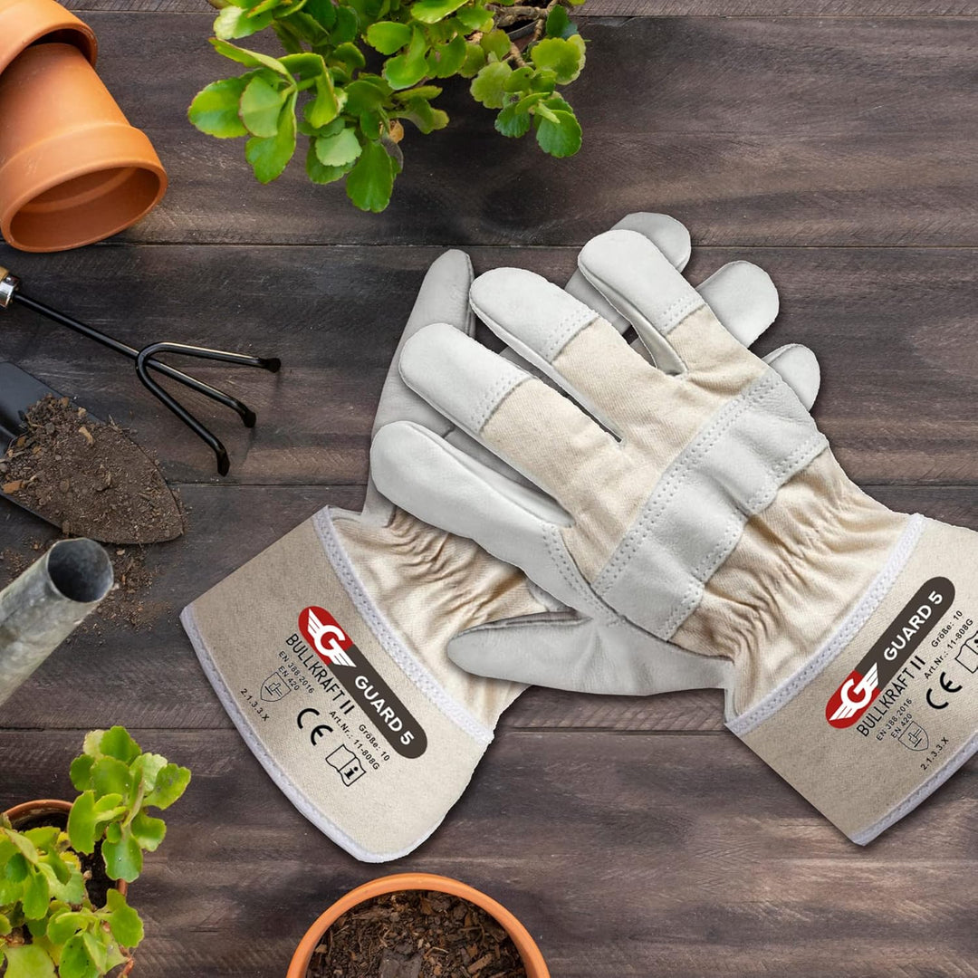 GUARD 5 - Leder Arbeitshandschuhe 5 Paar Gr.8 - Rind- Vollleder Handschuhe - hochwertiger, robuster