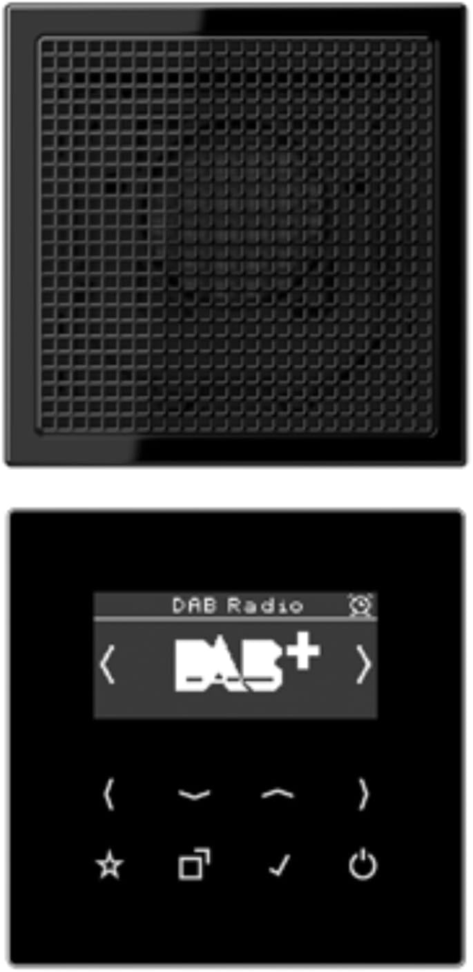 Jung DABLS1SW Smart Radio DAB plus Set Mono mit Lautsprecher Serie LS Schwarz