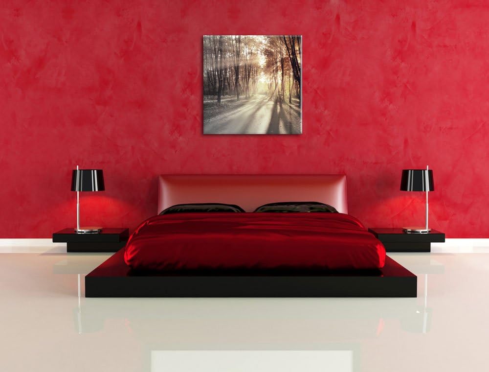 Pixxprint Allee im Herbstlicht schwarz/weiss, Format: 70x70 auf Leinwand, 70x70