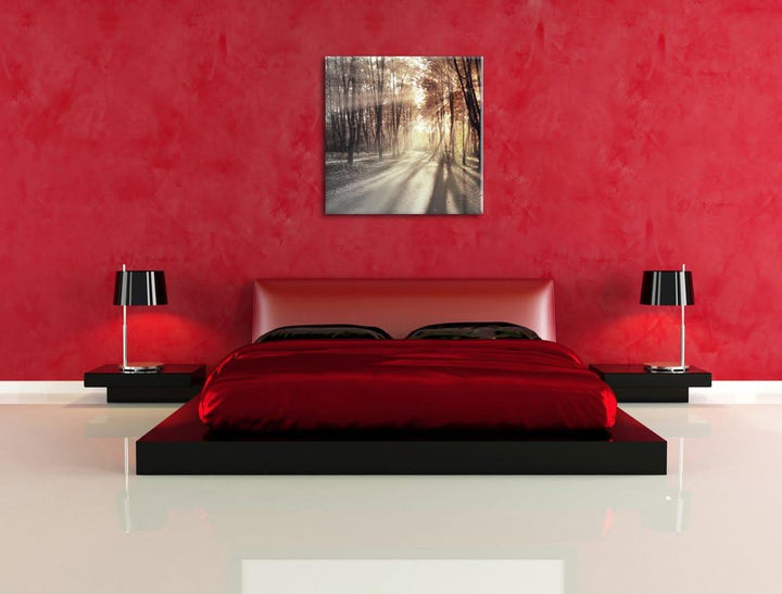 Pixxprint Allee im Herbstlicht schwarz/weiss, Format: 70x70 auf Leinwand, 70x70