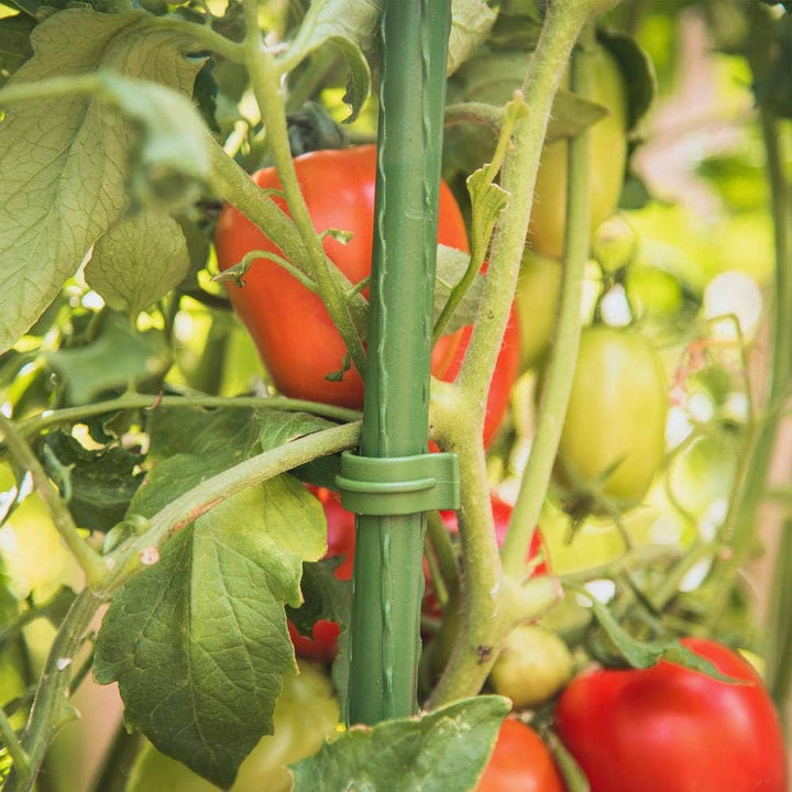 12 Stück Tomaten Spalier Verbinder, Pflanzenstütze Rankstab Stange Stab Tomatenstäbe Verbinder Pflan