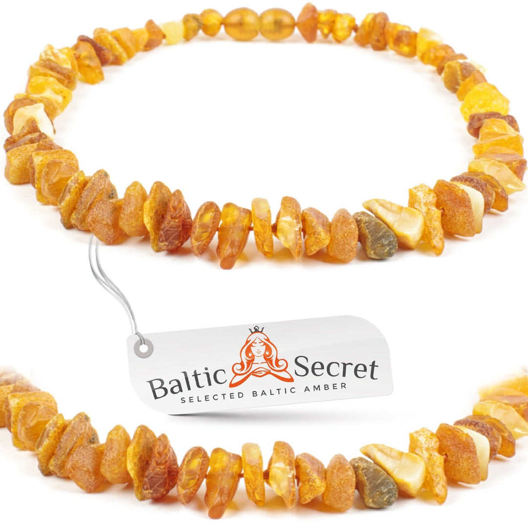 Bernsteinkette Hund, Bernsteinhalsband Hunde mit Lederband, Zeckenschutz Hunde, Flöhe Hund, Zeckensc