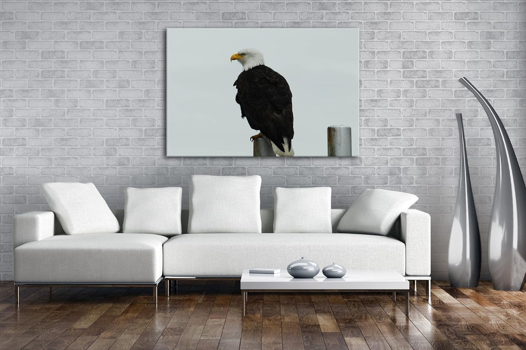 deyoli anmutiger Adler auf Einer Stange Format: 80x60 als Leinwandbild, Motiv fertig gerahmt auf Ech
