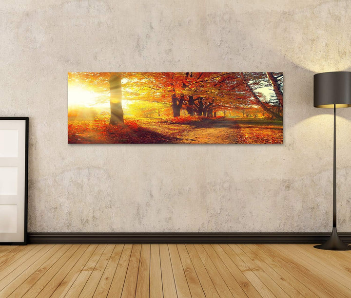 Bild Bilder auf Leinwand Herbst Herbst Park herbstliche Bäume und Blätter in Sonnenstrahlen Wandbild