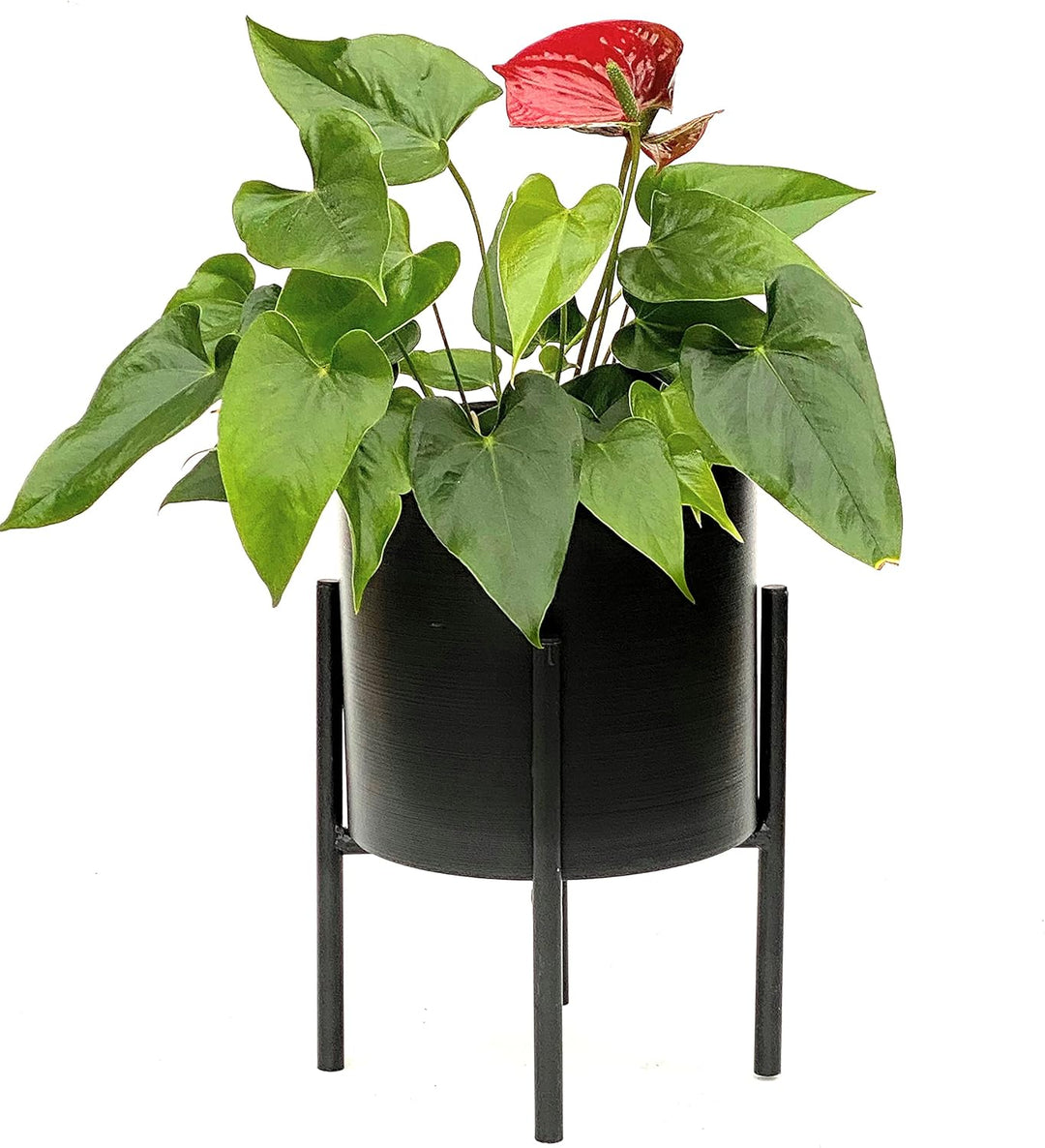 DanDiBo Blumenhocker mit Topf Metall Schwarz 32 cm Blumenständer 96153 Blumensäule Modern Pflanzenst