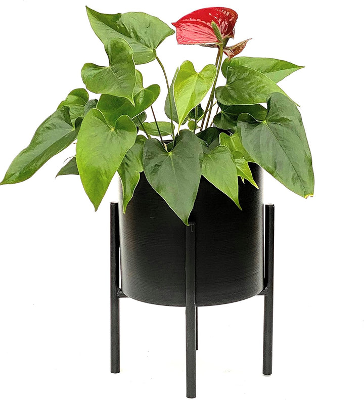DanDiBo Blumenhocker mit Topf Metall Schwarz 32 cm Blumenständer 96153 Blumensäule Modern Pflanzenst