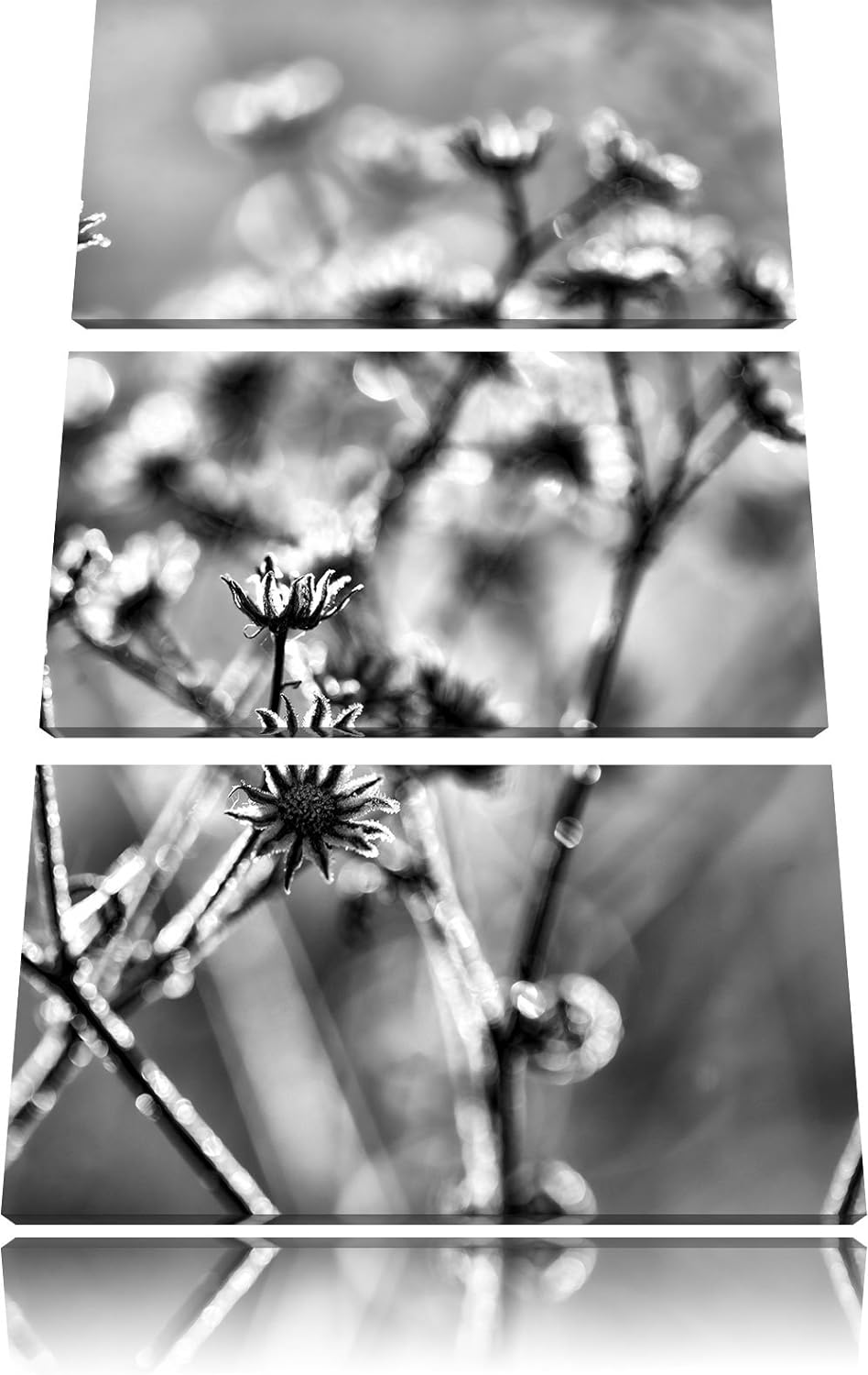 Pixxprint Monocrome, Pflanzen im Frost 3-Teiler Leinwandbild 120x80 Bild auf Leinwand