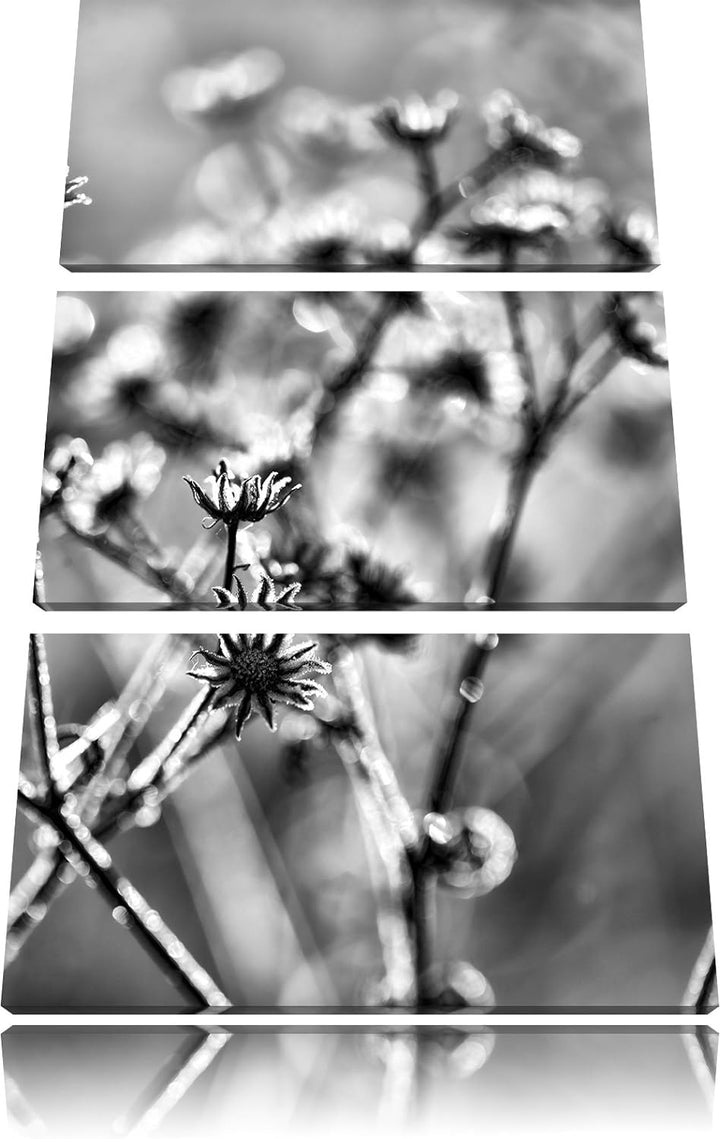 Pixxprint Monocrome, Pflanzen im Frost 3-Teiler Leinwandbild 120x80 Bild auf Leinwand