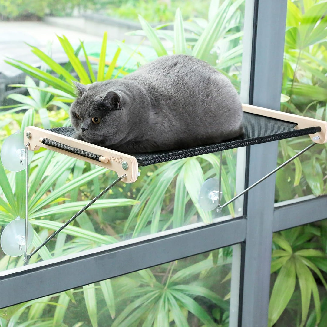 Katzen Fensterplätze (bis 20 kg), Katzen Fensterliege, Katzenhängematte für Katzen mit Massivholz un