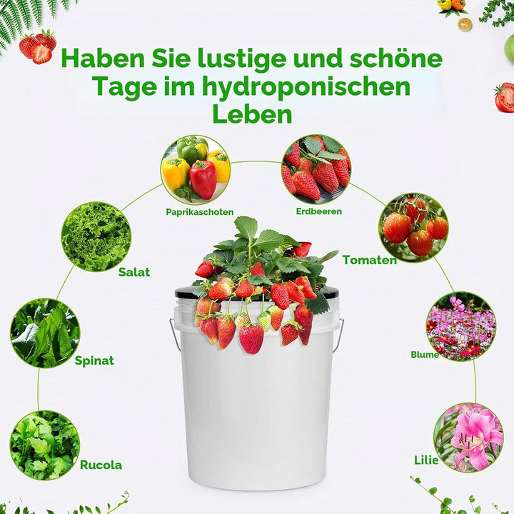 Netztöpfe 15,2 cm für 1,5 Liter Eimer-Netz-Topfdeckel, 6 Stück, 2 in 1 breite Lippe, Hydrokultur-Eim