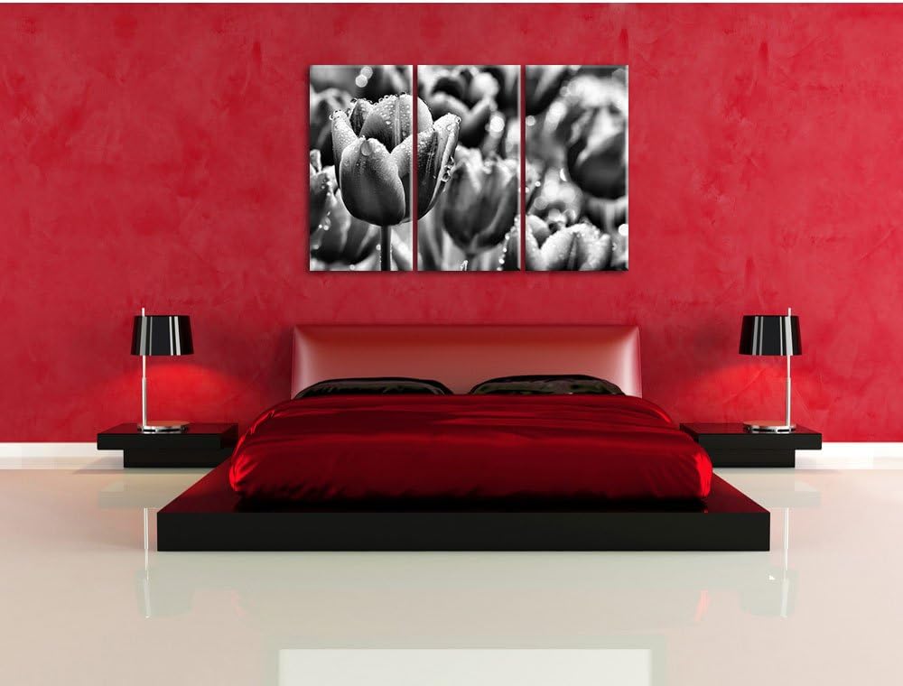 Pixxprint Tulpen mit Morgentau als Leinwandbild/Grösse: 3 Teilig (120x80) cm/Wandbild/Kunstdruck/fer