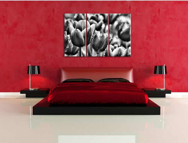 Pixxprint Tulpen mit Morgentau als Leinwandbild/Grösse: 3 Teilig (120x80) cm/Wandbild/Kunstdruck/fer