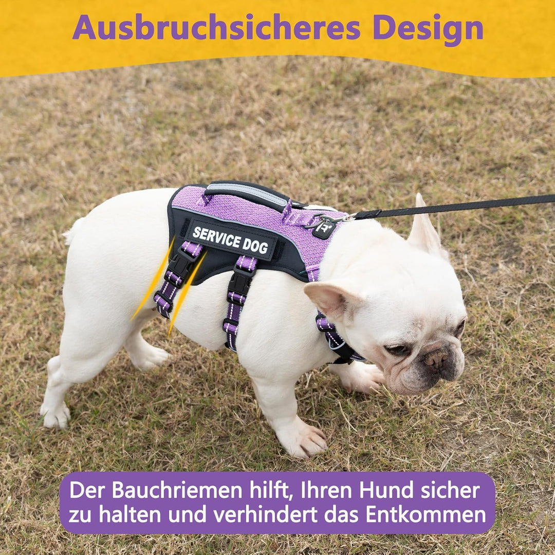 Huntboo Hundegeschirr Mittelgrosse Hunde, Sicherheitsgeschirr Hund Ausbruchsicher mit 6 Patches, Ser