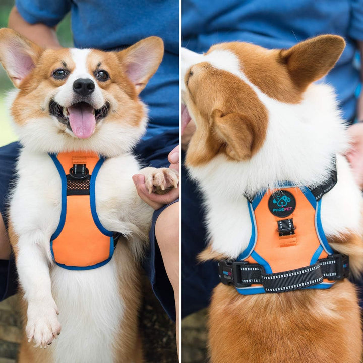 PHOEPET 2019 Anti-Zieh-Hundegeschirr für kleine Hunde, reflektierend, verstellbar, mit Clip an der V