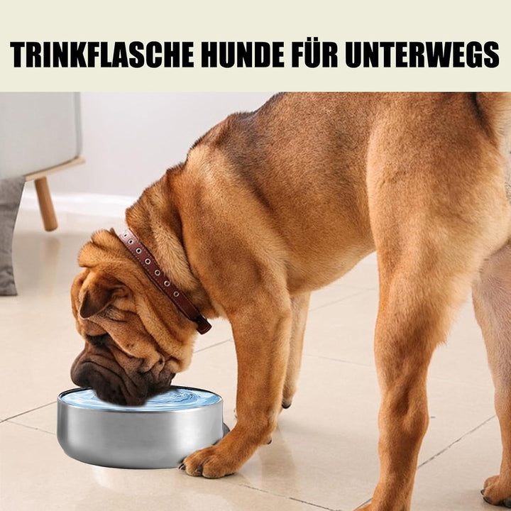 Pets Hundetrinkflasche für Unterwegs, 950ml Isolierte Edelstahl Trinkflasche Hunde mit Futterbehälte