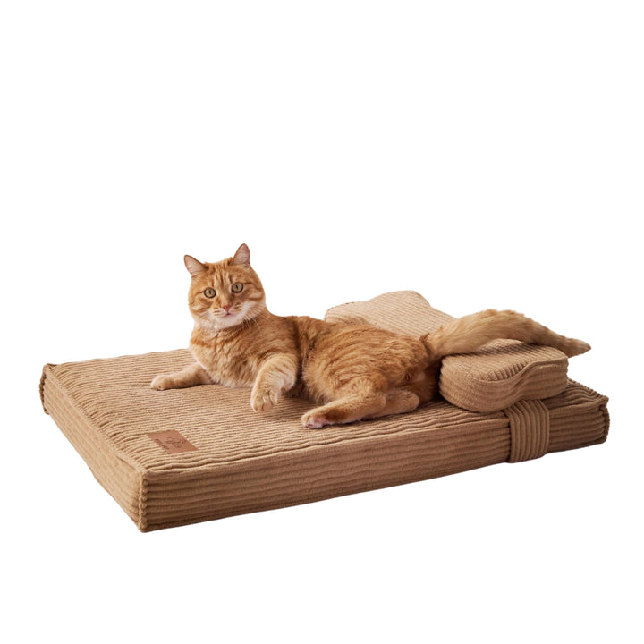 Orthopädisches Katzenbett mit Kissen, wasserdicht, waschbar L 61 x B 15 x H 46 cm, L 61 x B 15 x H 4