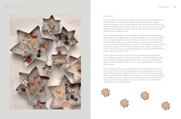 Sonderausgabe: Weihnachtsstern, Tannenbaum und Kerzenduft: Das florale Adventskalender-Buch für Weih