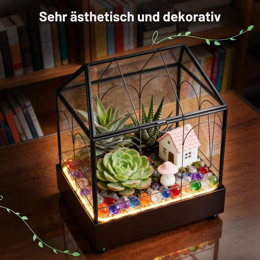 Mini Gewächshaus, 24x14,5x28cm Terrarium mit Aufklappbarem Glasdeckel, Volltransparentem Glas und Bo