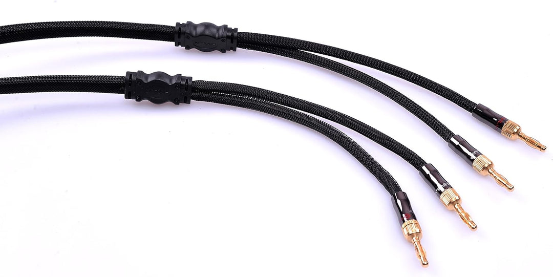 HiViLux HiFi Lautsprecherkabel/Boxenkabel OFC ausschraubbar Bananenstecker für HiFi Stereo Paar (6m
