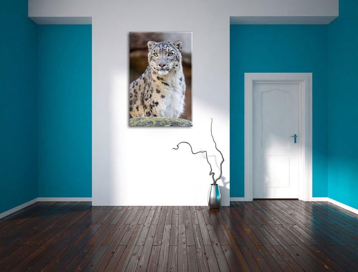 Pixxprint wachsame Schneeleopardin auf Leinwand, XXL riesige Bilder fertig gerahmt mit Keilrahmen, K