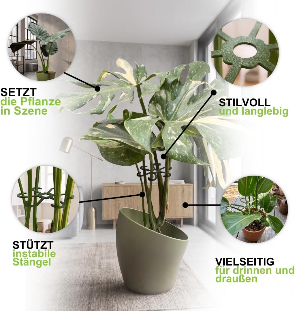 PLANTINITY - Pflanzenstütze Ring 15 cm Hero Light M - 5 Stück - Pflanzenhalter für Zimmerpflanzen -