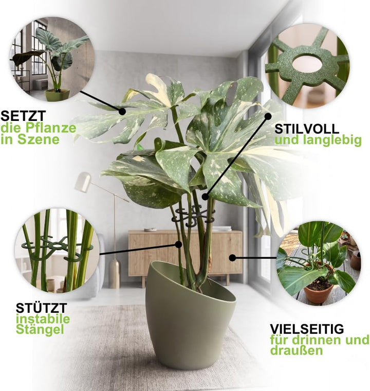 PLANTINITY - Pflanzenstütze Ring 15 cm Hero Light M - 5 Stück - Pflanzenhalter für Zimmerpflanzen -