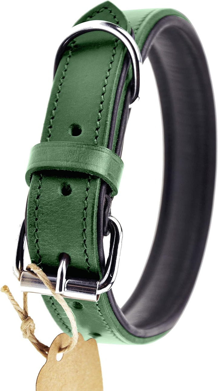 Schnüffelfreunde Halsband für Hunde aus Leder, Hundehalsband für den grossen, mittleren und kleinen