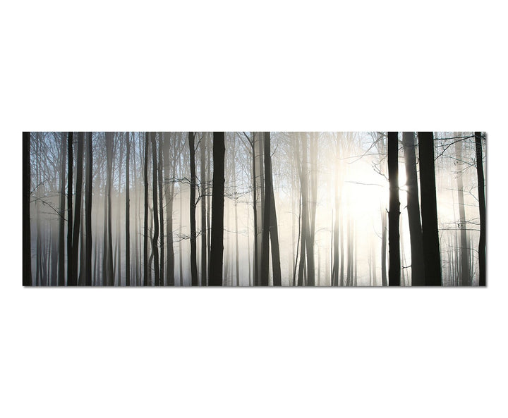 Paul Sinus Art Panoramabild auf Leinwand und Keilrahmen 150x50cm Wald Winter Schnee Sonnenstrahlen