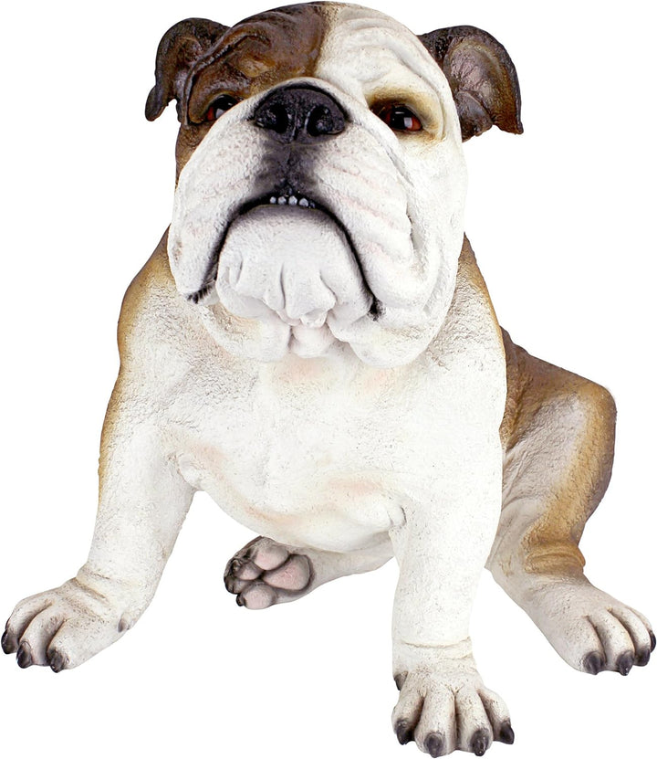 Design Toscano Buster die Bulldogge Britische Gartenstatue, Polyresin, vollfarbe, 40.5x35.5x35.5 cm,