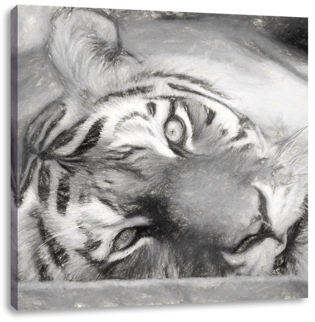 Pixxprint Liegender Tiger/Format: 70x70cm / Leinwandbild fertig bespannt Wandbild Kunstdruck, 70x70
