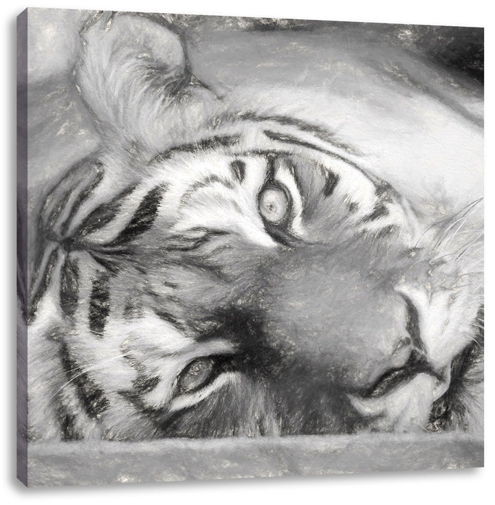 Pixxprint Liegender Tiger/Format: 70x70cm / Leinwandbild fertig bespannt Wandbild Kunstdruck, 70x70