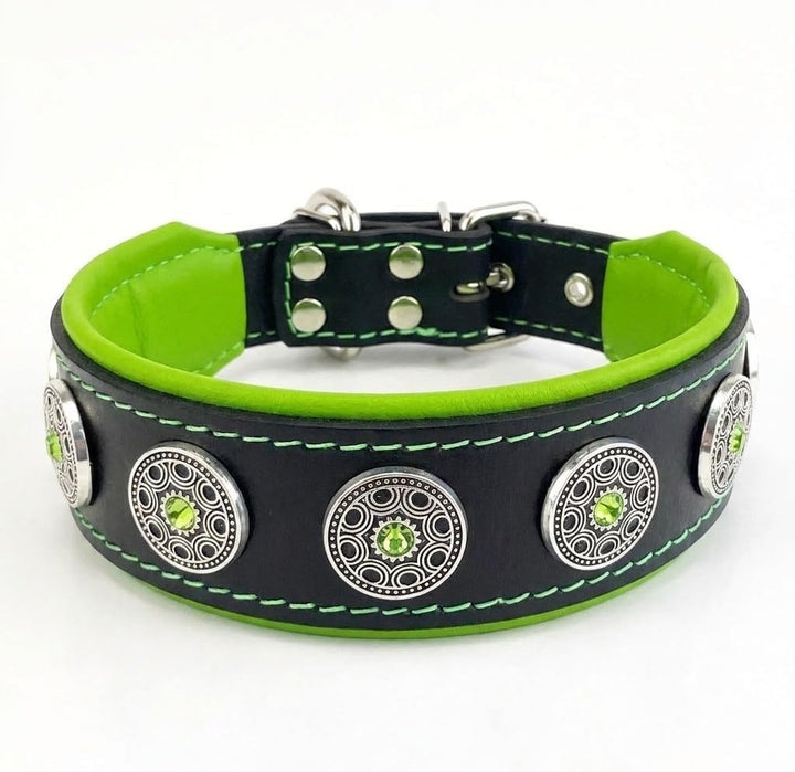 Bestia Bijou Hundehalsband mit Zierconchos. 100% Leder. Weich gepolstert. Handgefertigt in Europa! X