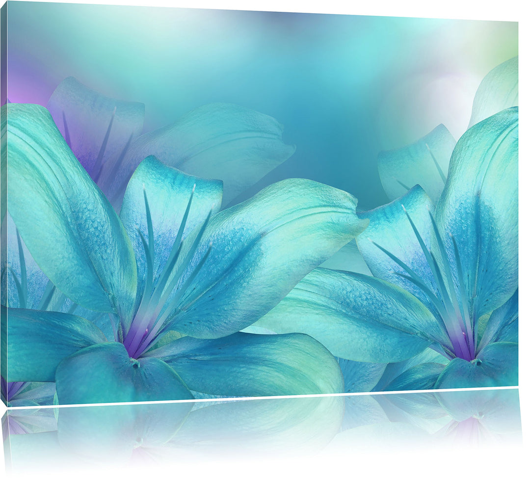 Pixxprint türkise Lilien, Format: 100x70 auf Leinwand, XXL riesige Bilder fertig gerahmt mit Keilrah