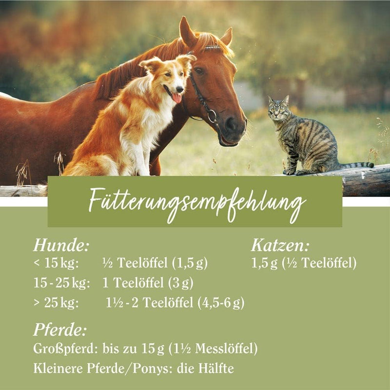 tierlieb Grünlippmuschel-Konzentrat 100% | Für Pferde, Hunde & Katzen | 900 Gramm