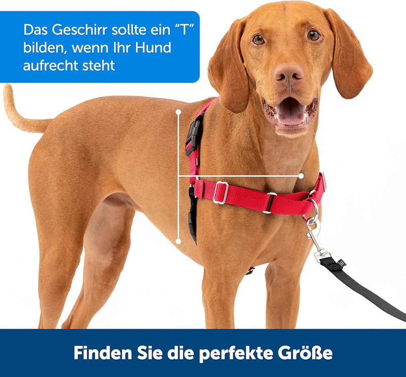 PetSafe Easy Walk-Geschirr, Anti-Zieh-Hundegeschirr, Verringert Würgen und Husten, Mit 1,8 M Leine,