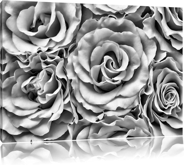 Pixxprint Blumen Rosen Blumenmeer / 100x70cm Leinwandbild bespannt auf Holzrahmen/Wandbild Kunstdruc